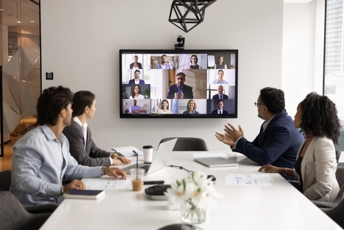Meeting with zoom call participants